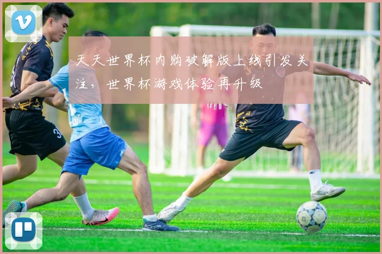 天天世界杯内购破解版上线引发关注,世界杯游戏体验再升级