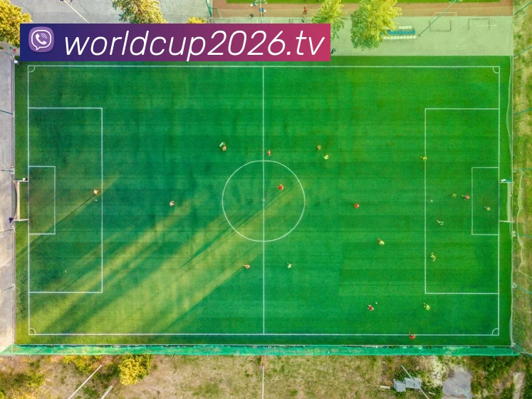 mksports体育APP 高清赛事图