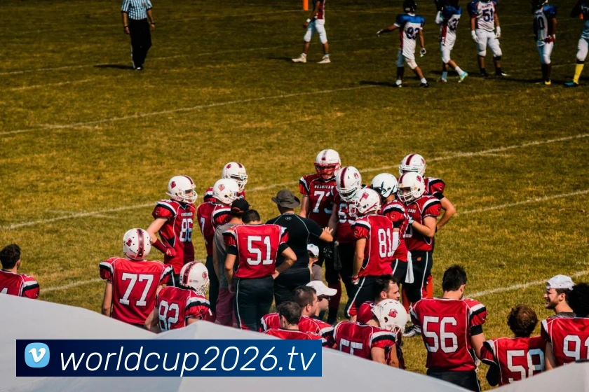 世界杯官网线上平台APP 封面图