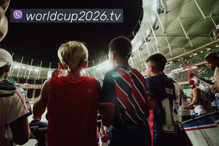 全球热力图
